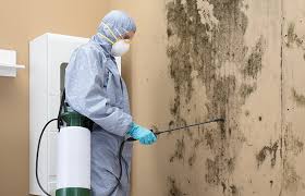 Best Asbestos and Lead Testing During Mold Inspection  in Cottonwood, ID